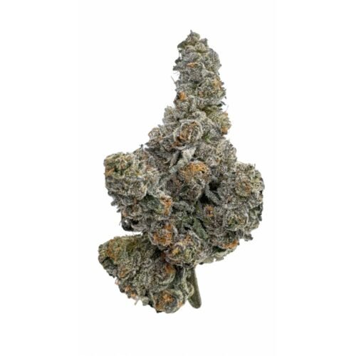 Amani Craft — Gastro POP (14g)