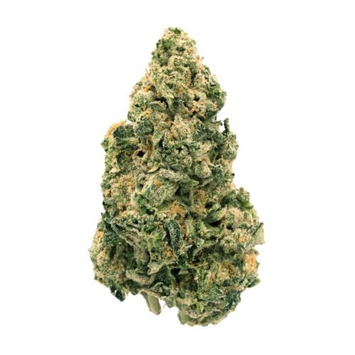 Back Forty — Galactic Jack (28g)
