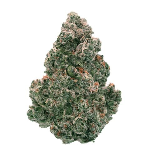 Back Forty — Liquid Imagination (14g)