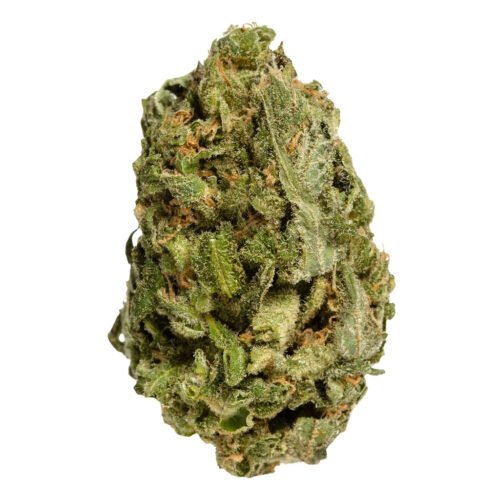 Bake Sale — ALL Purpose Flower Sativa Rotational (28g)