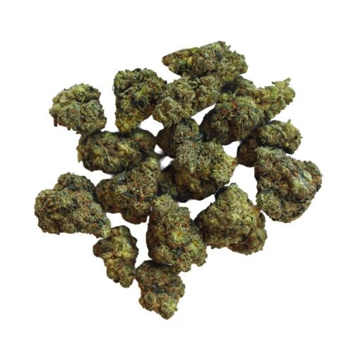 BOLD — Root Beer Float Flower (14g)