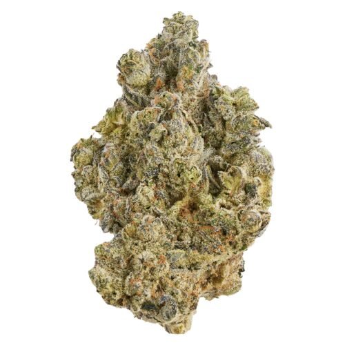 Broken Coast — LA Bomba (28g)
