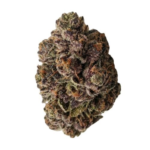 Cappellano Co. — Organic Nonna RED (3.5g)