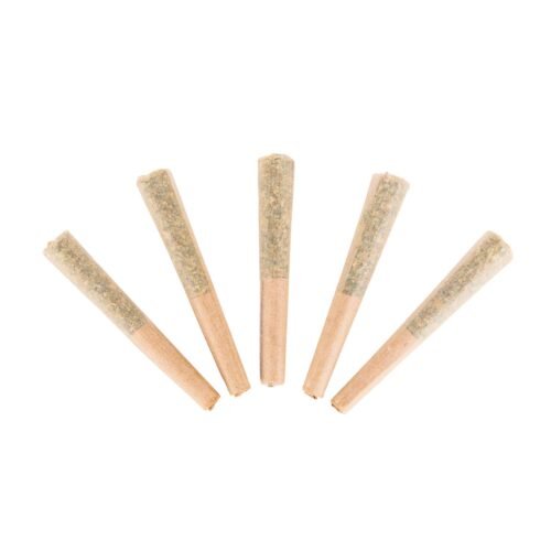 Choklit Park — Jamaican Pearl Prerolls (2.5g)