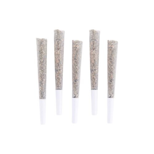 Choklit Park — Lamb's Bread Pre-rolls (5g)