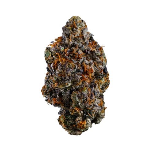 Coast Mountain Cannabis — BC Organic Lemon Cherry PIE (3.5g)