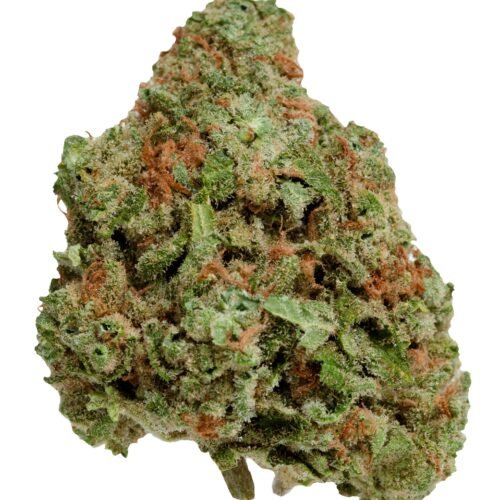 Color Cannabis — Blueberry Seagal (7g)