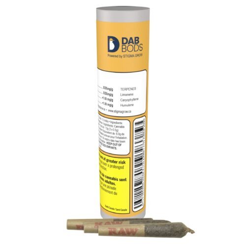 Dab Bods — Baja Banana Disti Infused Pre-rolls (1.5g)