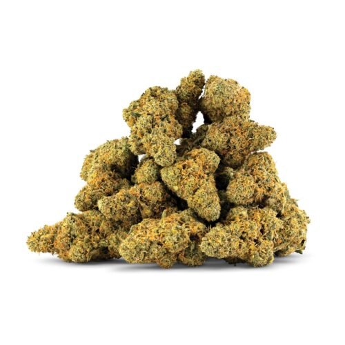 DEALR — Shiesty (28g)