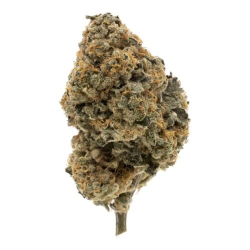 FIGR — Kandy Cake (28g)