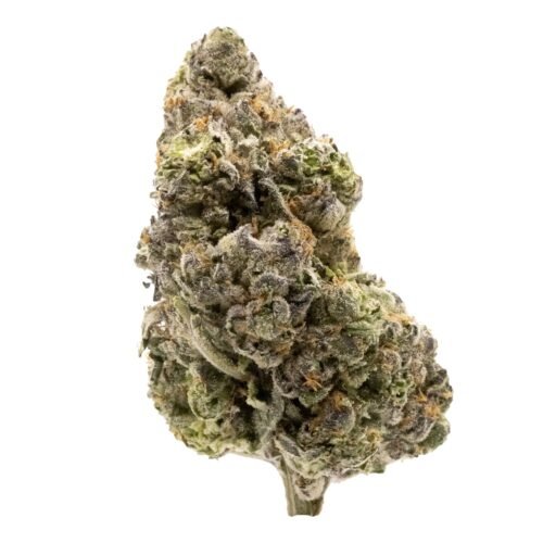 FIGR — Midnight Sherb (28g)