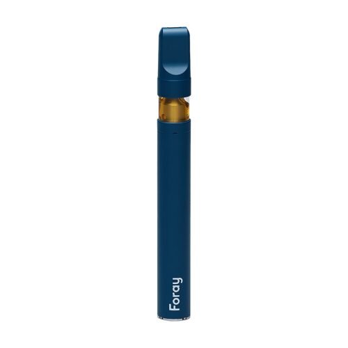 Foray — Balanced Mango Haze Disposable Vape PEN (0.3g)