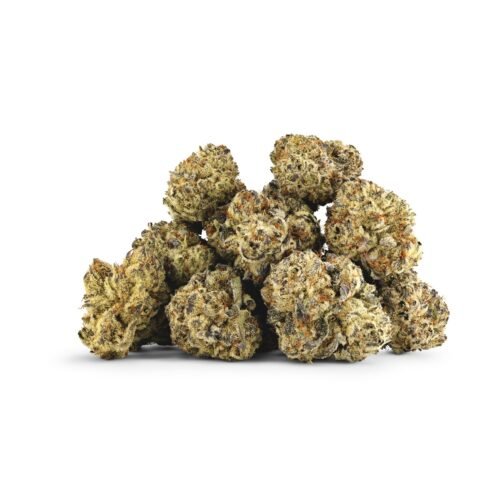 Good & Baked — Where's MY Bike? (14g)