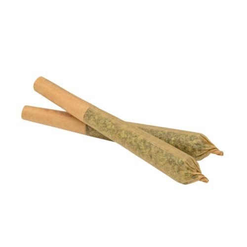 GOOD BUDS — Mango Cake Pre-rolls (1g)