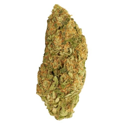 Good Supply — Blueberry Donuts (28g)