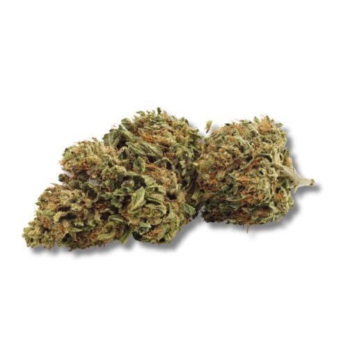 Grown Here Farms — DAY Dreamin' Infused CBD Flower (7g)