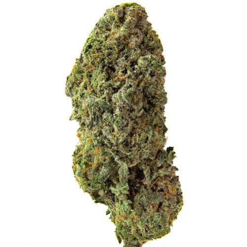 Homestead — Bandwagon Sativa Rotational (28g)