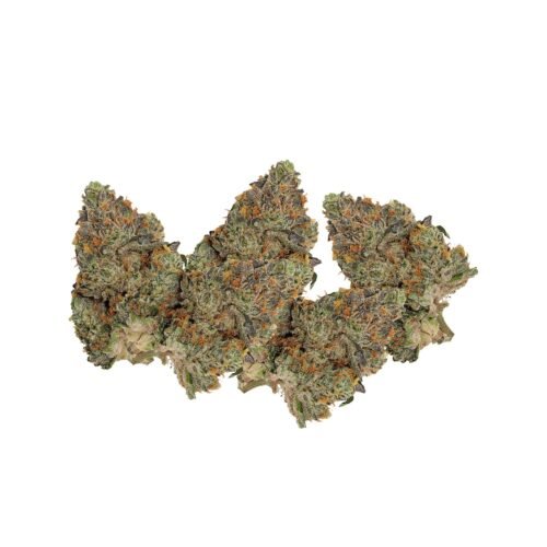 Pistol and Paris — Blue Zushi Smalls (3.5g)