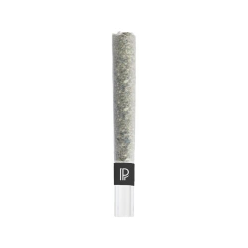 Pistol and Paris — Lindsay OG Bubble Hash Infused Pre-roll (1.5g)