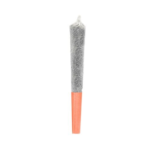 Potluck — Orange Twist Infused Pre-roll (0.5g)