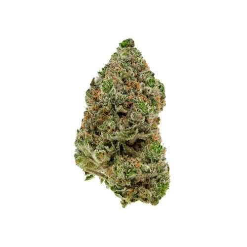 Simply Bare Organic — BC Organic Hibachi Blue LTO (3.5g)