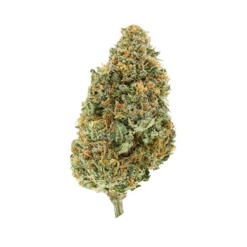 Simply Bare Organic — BC Organic Plumz LTO (3.5g)
