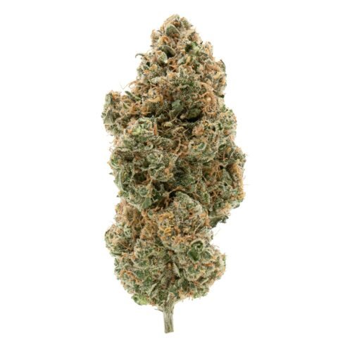 Simply Bare Organic — BC Organic Tangerine Sunrise (3.5g)