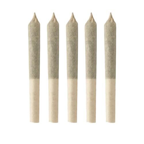 Simply Bare Organic — BC Organic Tangerine Sunrise Pre-rolls (1.75g)