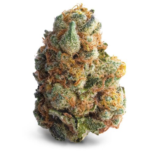 Spinach — GMO Cookies (3.5g)