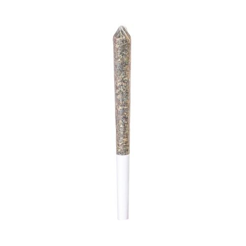 Station House — Northern Lights Pre-roll (0.5g)