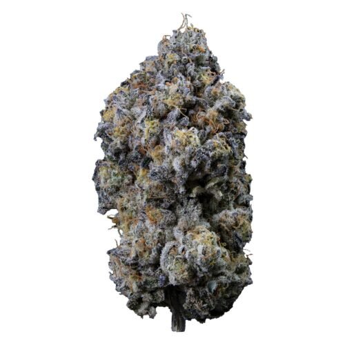 Sweetgrass Organic Cannabis — Pine Mentz Petites Flower LTO (3.5g)