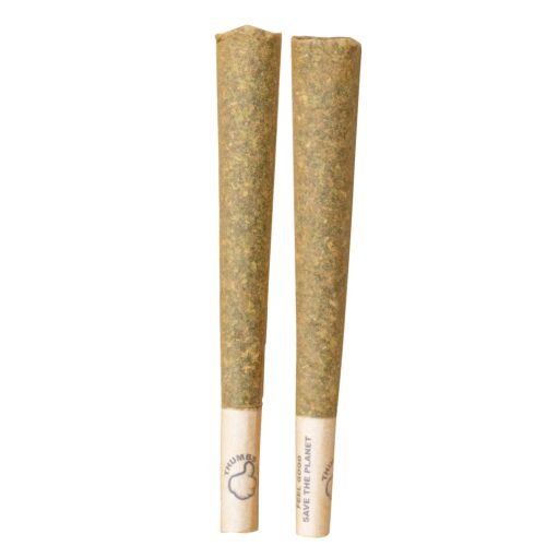 Thumbs Up — Hybrid Pre-rolls (2g)