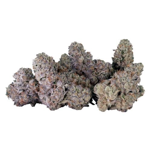 Tribal — Bubble UP (14g)