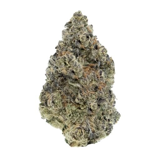 Woody Nelson — Sunset Sherbet Craft Flower (3.5g)